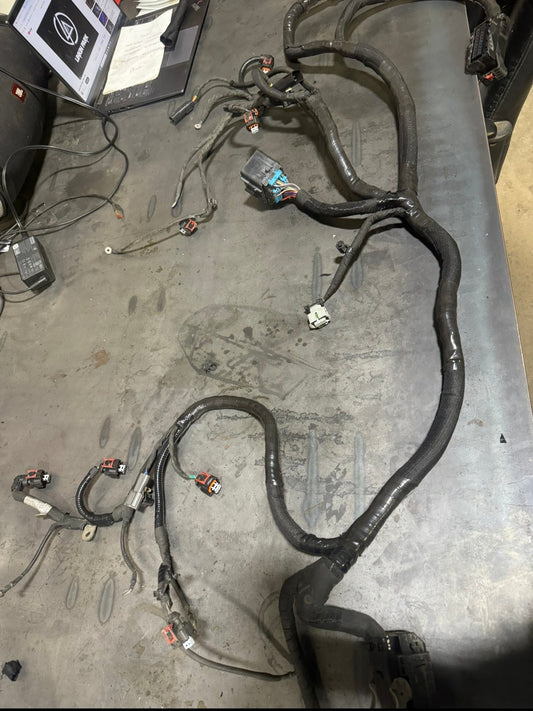 LML Custom Wiring Harness